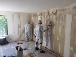 Why You Should Choose Our Mold Remediation Services in (206) 803-13630